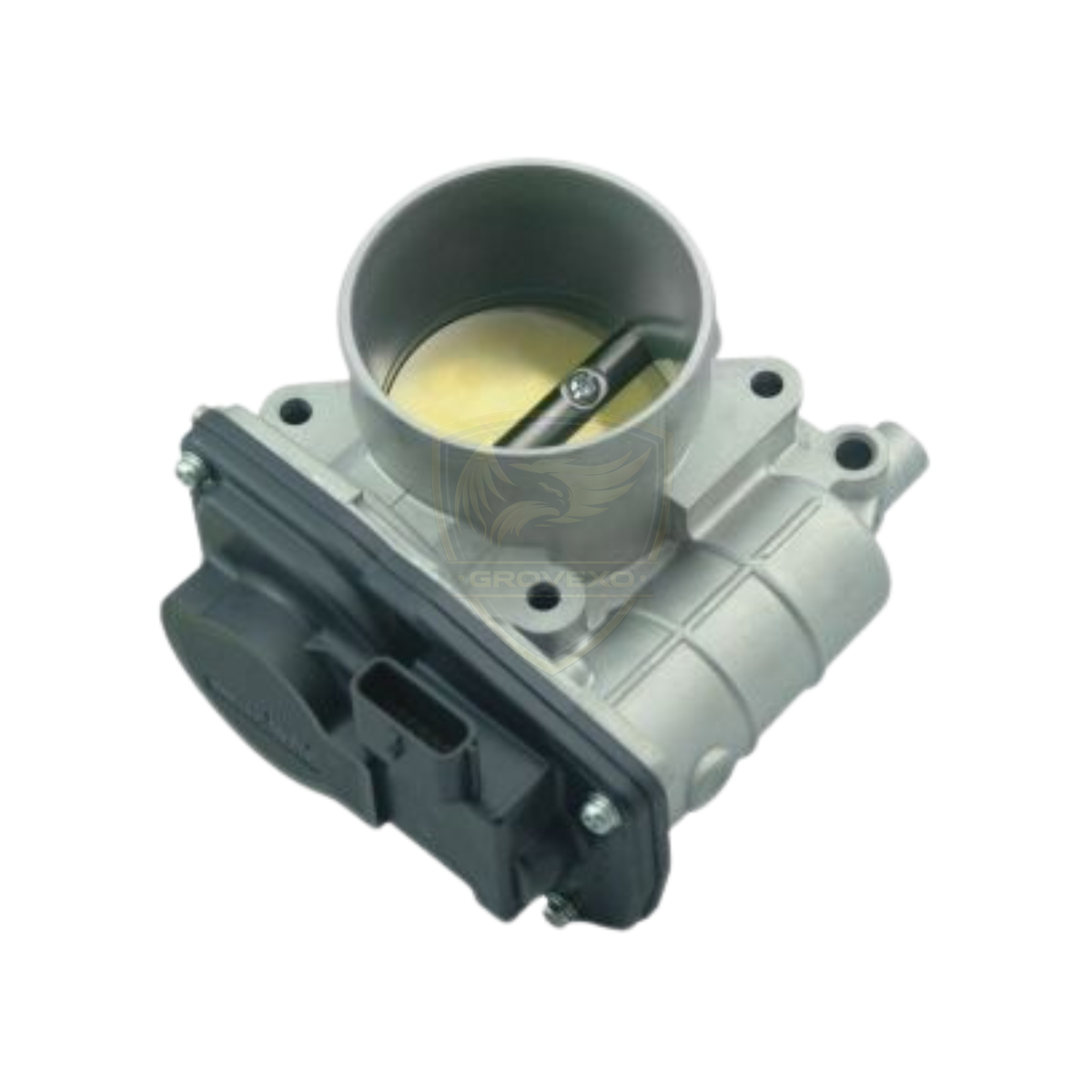 OEM Nissan Throttle Body Assembly  - 16119-JF00F