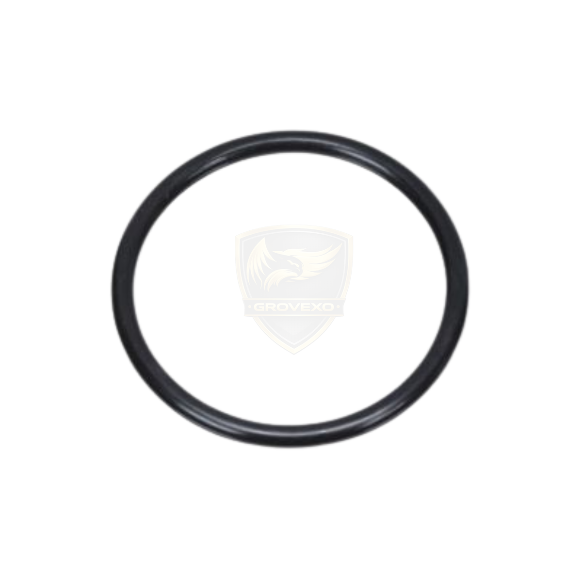 OEM Nissan Fuel Tank O-Ring Seal  - 17342-18000
