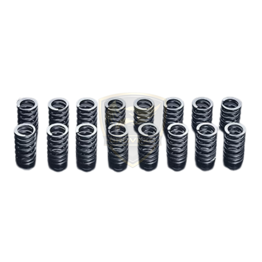 HKS High Performance Valve Spring Kit RB26DETT  - 22001-AN001